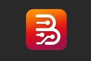 Borneo Schematics Activation (1 User / 3 Months)